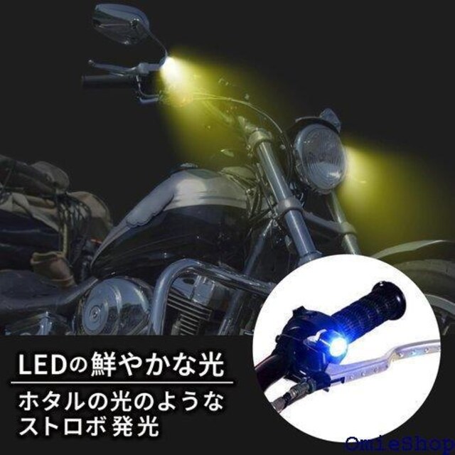 LISPHOS Xg{Cg LED tHOv  z^ LEDCg _LED zCg2~2 887  /oCN