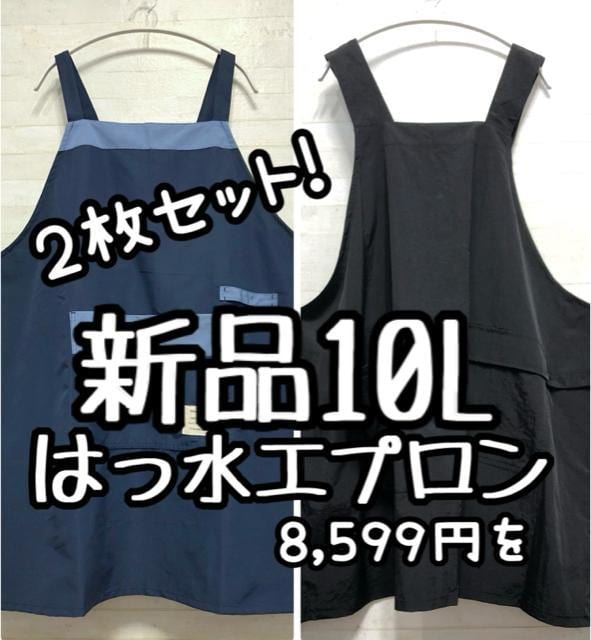 Vi10L􍮁~͂Gv2Zbg8,599~Q149   CeA/Ct 