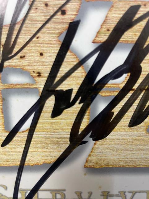 B'z SURVIVEcA[TCF 󏭁@ꂠ@ MTCF F M MTC  ^gObY 