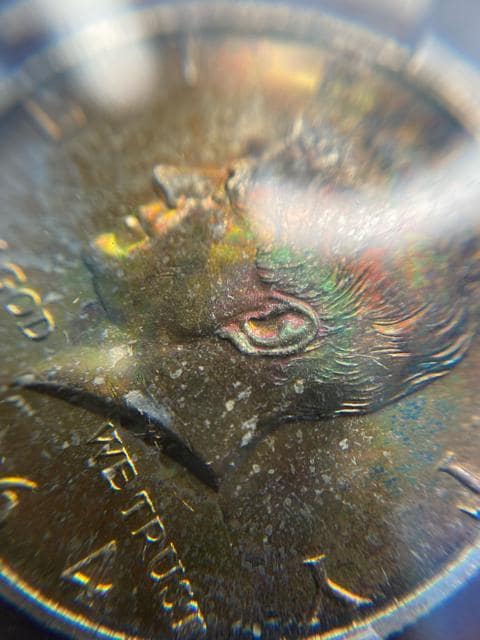 PCGS NCG ݁@ÑK@AeB[NRC  zr[ 