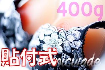 ySzQ̈̊VRoXg400glH[]