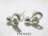 sNewt<ް925>ʰ޻޲*ʰ߱