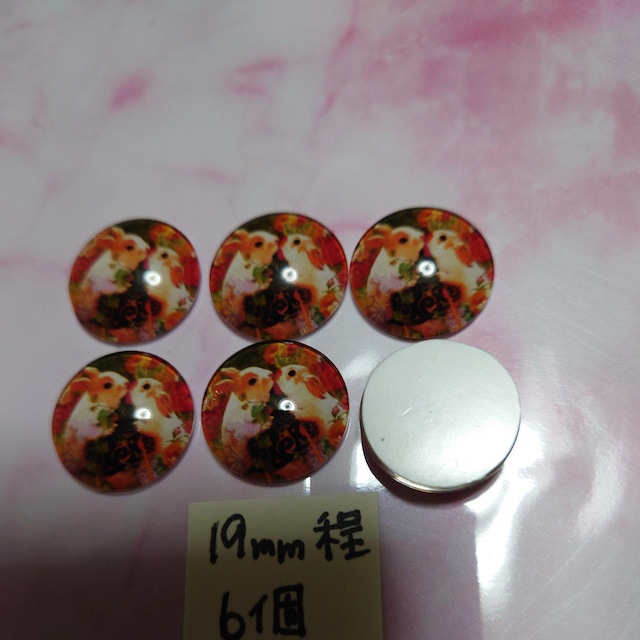 KX̒̃ETM6uup[c  /RX/lC 