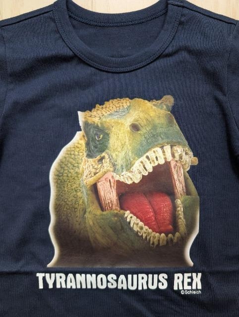 PPOVCqSchleicheBmTEXvgsVcVi  LbY/xr[ 