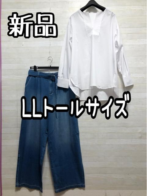 ViLLg[TCY􂨂ꔒVc炩ChfjQ447   t@bV 