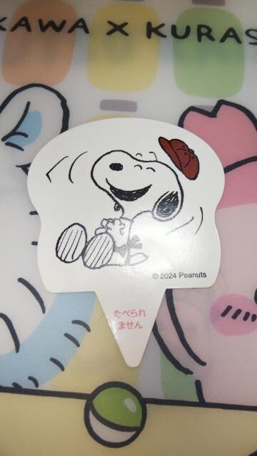 WCtJoyfull~PEANUTSR{Ly[Xk[s[sbNSNOOPY   Aj/R~bN/LN^[ 