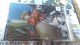 No.14 bg\ (U ARJ[h)Apex Legends(TM) Wafers 2 EGn[X