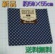 Vi JbgNX hbg lCr[E ͂ꐶn  