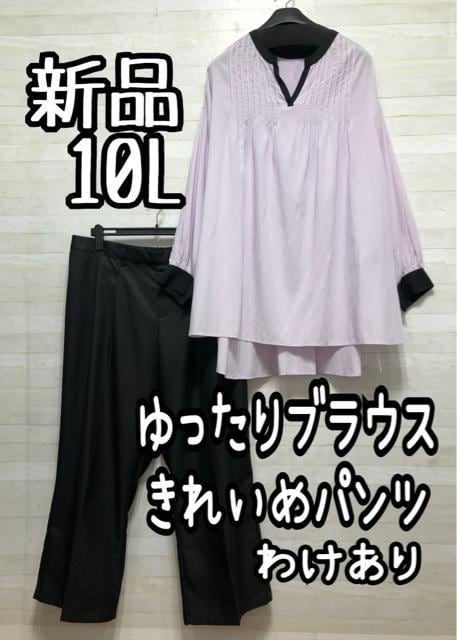 Vi10L􃉃x_[nuEXꂢߍpcQ239   t@bV 