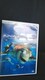 DVD\tg t@CfBOEj fBYj[ sNT[