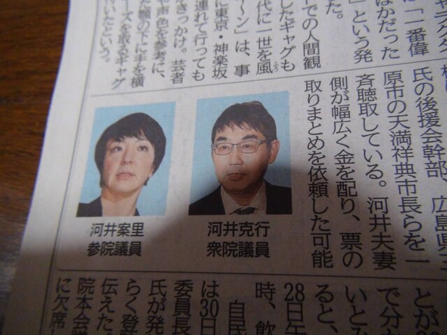 u񂳂̂ʂ̐VLIB  zr[ 