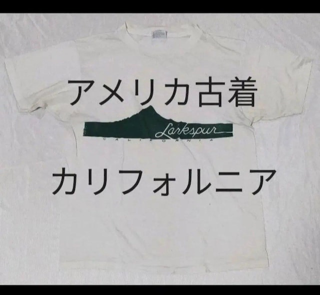 JtHjAS wCYTVc L AJ made in USA HANES AJÒ 80N   jt@bV 