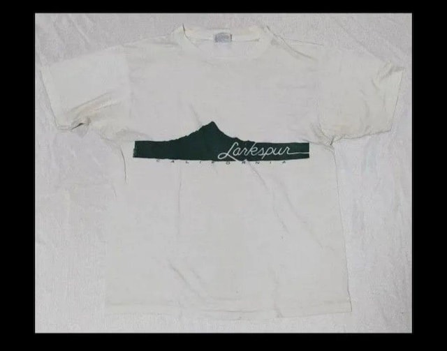 JtHjAS wCYTVc L AJ made in USA HANES AJÒ 80N  jt@bV 