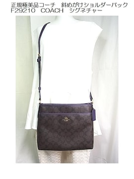 500~X^KɔiR[`@΂߂V_[obN@F29210@COACH@TRV