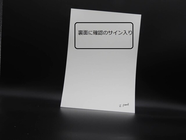 Vi@@f[[uA_ G@v̍@ASTCY@zȂ  zr[ 