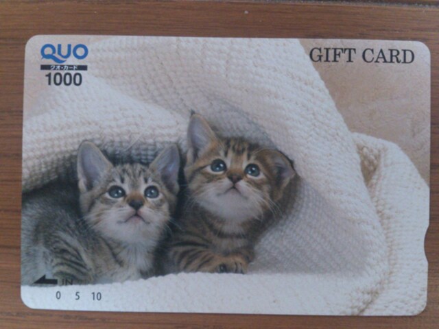 NI J[h QUO CARD 1,000~   `Pbg/ 