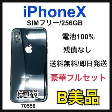 B 100% iPhone X 256 GB SIMt[ ubN {