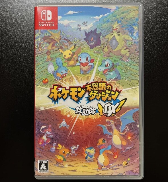 Nintendo Switch |Psvc̃_W ~DX jeh[ XCb` 