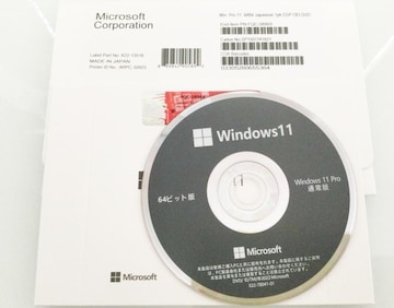 Windows 11 pro 64rbg Ki