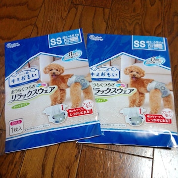 ybg@Ic@2Zbg@ʕ@gс@SSTCY@Vi