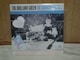 THE SWINGIN` SIXTIES / THE BRILLIANT GREEN    WP