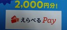 ׂPay2~/1