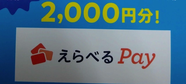 ׂPay2~/1   `Pbg/ 