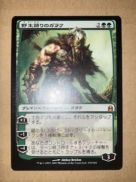 MTG CMD 쐶̃KN { 1