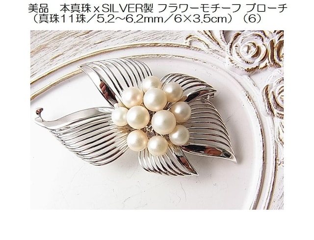 500~X^i@{^삘SILVERt[`[tu[`i^11/5.2`6.2mm/6~3.5cmji6j   ANZT[/v 