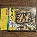 yCOLLIE BUDDZ (J[EobY)zSICP-1470