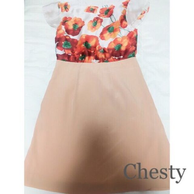 yԌSALEzChesty`FXeBt[؂ւs[X  uh 
