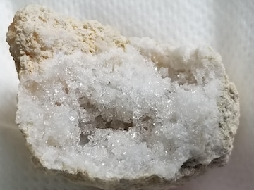 NX^[42g