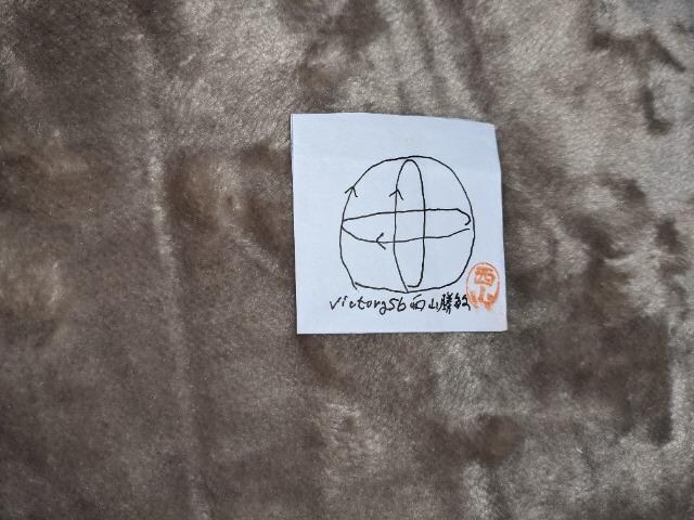 3victory56Rq앧ϐFZ喾BPE3g}\N100ʏC@10cm4V\g/DT123  t@bV 
