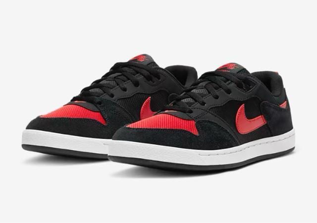 NIKE SB AE[v   W[/X|[c 