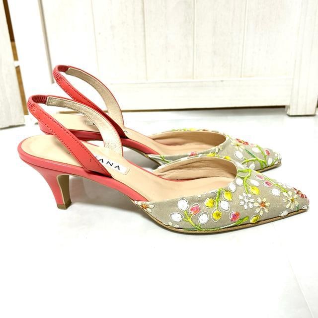 i DIANA _CAi ԕ hJ pvX 23.5cm  uh 