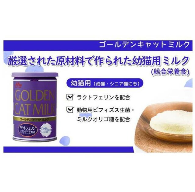 XT[h bN S[fLbg~N Lp ~N 130g  ybg/|/| 