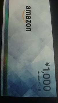 1000~AmazonMtg1Vigpi