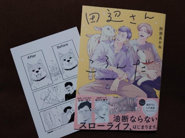 akAjCgPtycӂ񂪂񂾁z 