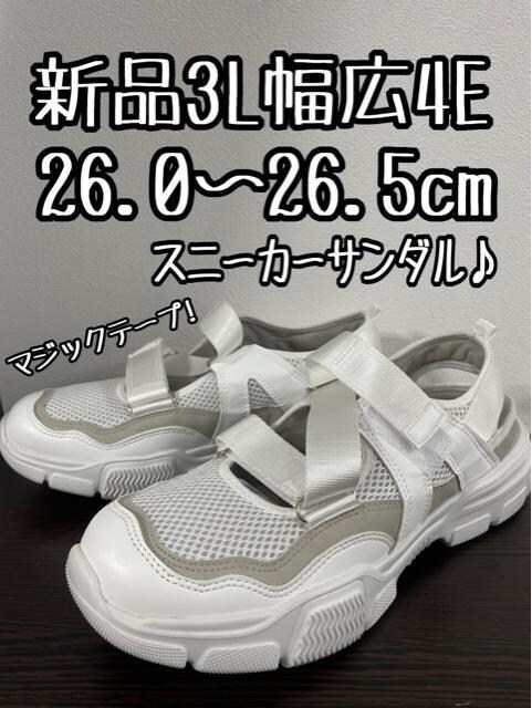 Vi3L26cm26.5cmL4E}WbNe[vyʃXj[J[T_D711   t@bV 