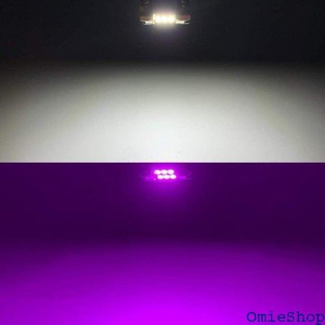 Catland T10~31 LED [v z G[t[ 12A 3`bv 12V 2 3  /oCN