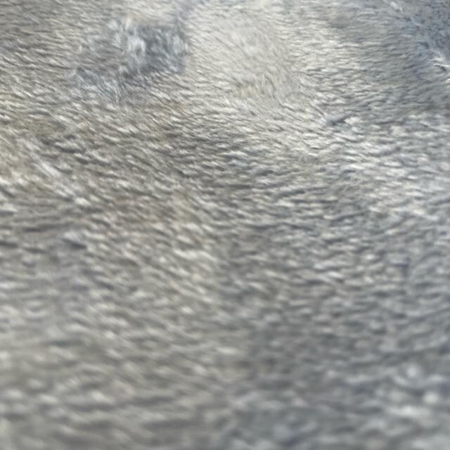 tln[tPbg100~140cm  CeA/Ct 