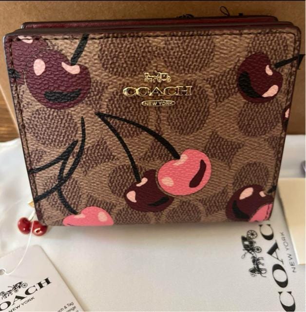 Vi COACH ܂z@~j  uh 