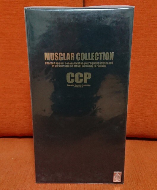 L}CCPE1.0 POP REART MODEL ver.tBMA  Aj/R~bN/LN^[ 