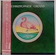 LP (ѕt.P-10805W)NXgt@[ENX (Christopher Cross) /삩痈j 070725
