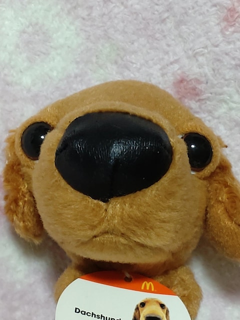   }Nhih    sgdcnf  _bNXtg