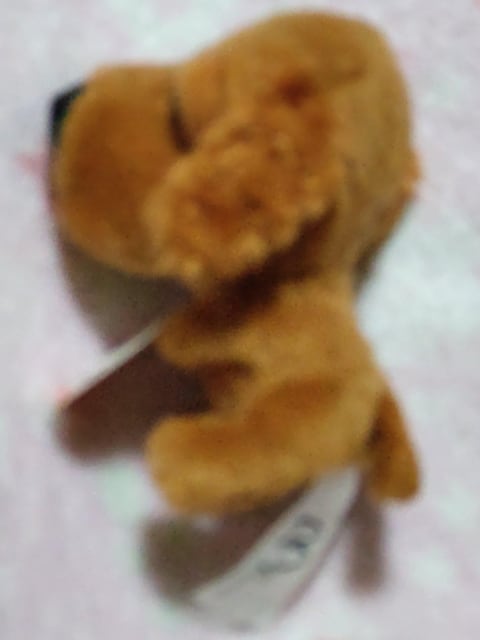   }Nhih    sgdcnf  _bNXtg