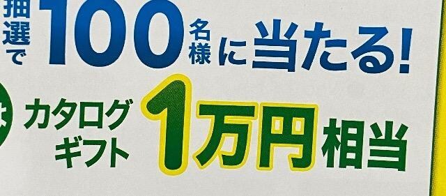J^OMtg1~/100l1 