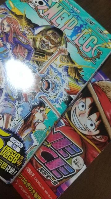 ONE PIECEs[XPs{ POWVilłI
