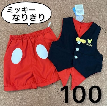 Vi^Ot100TCY@fBYj[~bL[Ȃ肫^LV[h@RX`[