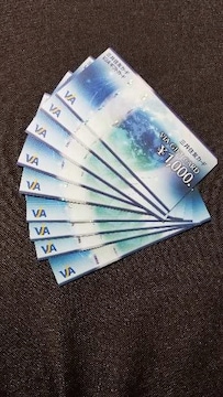 oyCΉ VJA VISA i MtgJ[h 9000~